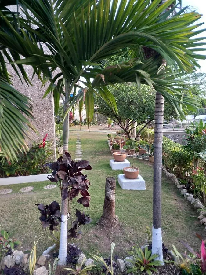 Crystoural Apartment Liguanea Sovereign Apt - 2 Bedrooms, 3 Beds, Host 4 Guest- Kingston! 0*, Kingston